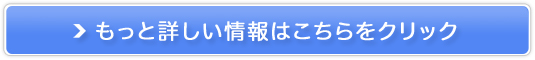 I`premiumiv~Aj̔TCg